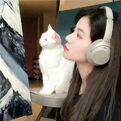 一九五一年的欧洲